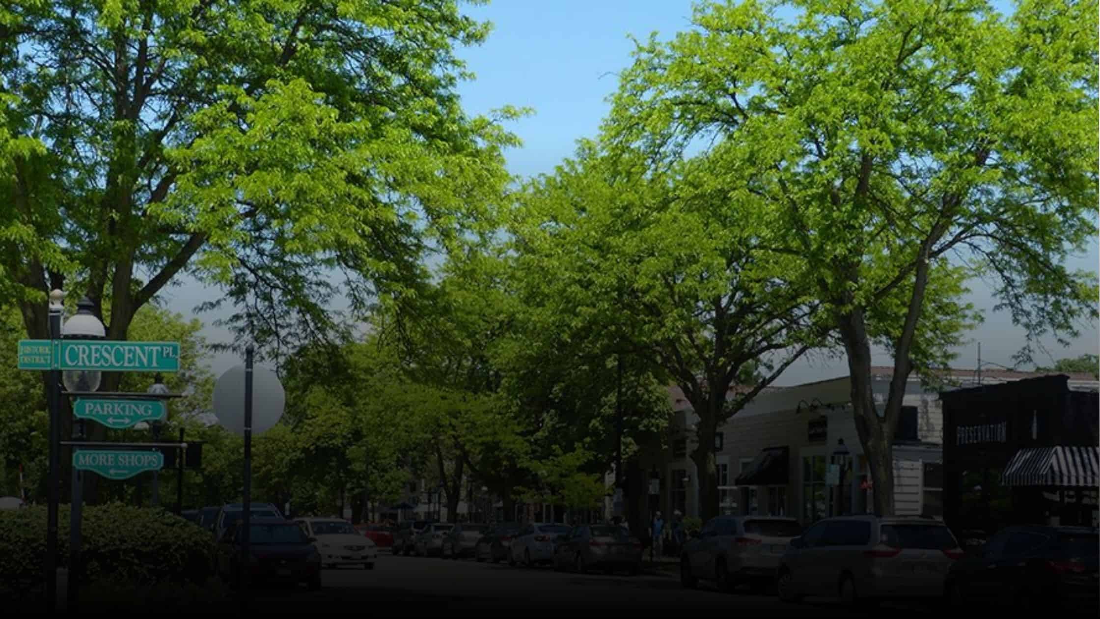 Discover the Top 5 Family Activities in Geneva, Illinois